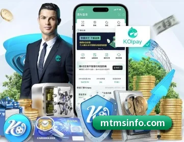 星空网站网址入口 APP 深度功能